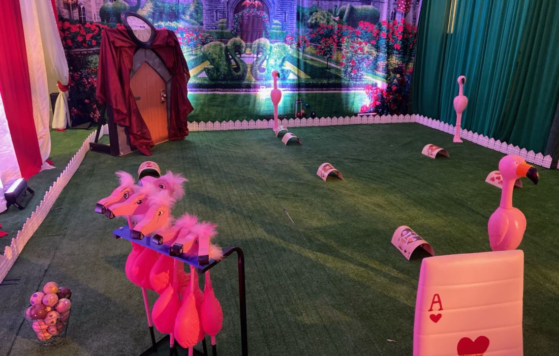 Pink Flamingo Croquet Game (3)